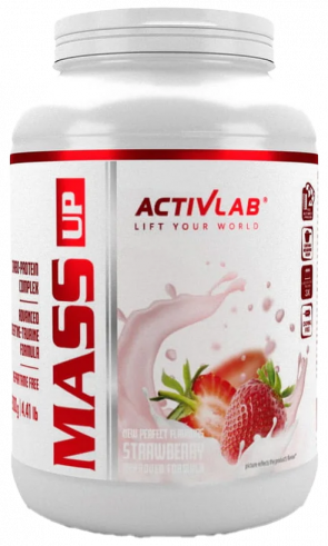 ActivLab Mass Up, Концентрат сывороточного протеина Масс Ап, 2000 грамм